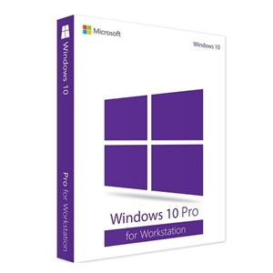 Windows 10 Professional Workstation 1PC