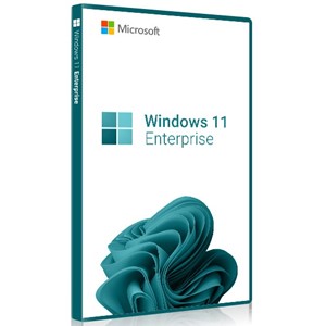 Windows 11 Enterprise 1 PC