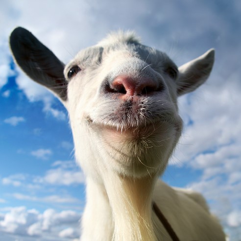 Goat Simulator на ios iPhone AppStore + ИГРЫ БОНУСОМ🎁
