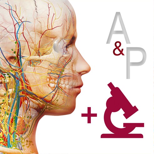 ⚡️Anatomy & Physiology iPhone ios iPad Appstore + 🎁
