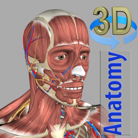 ⚡️ 3D Anatomy iPhone ios iPad Appstore + ПОДАРОК 🎁🎈