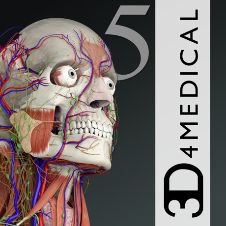 ⚡️ Essential Anatomy 5 iPhone ios Appstore + ПОДАРОК 🎁