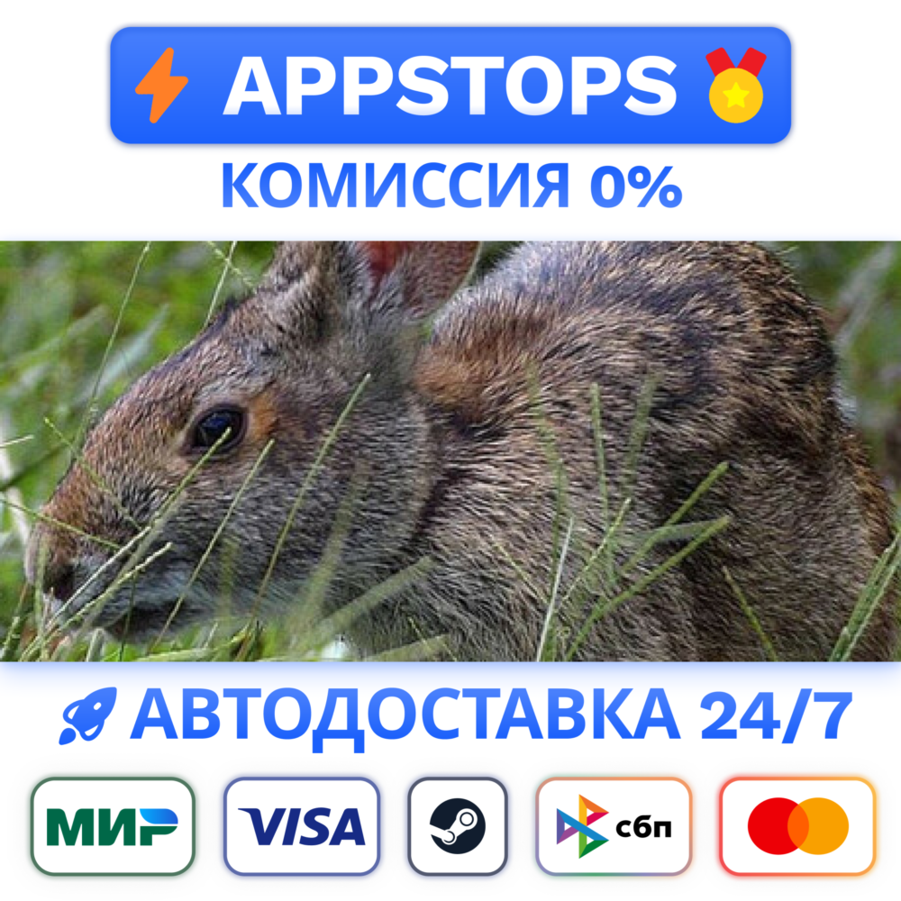 Warhammer 40,000: Dawn of War - Definitive Edition Stea