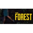 The Forest (Steam Gift Россия)