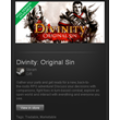 Divinity Original Sin Enhanced Ed. STEAM Gift RU+CIS+UA