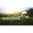 ? Black Desert Online Kuku Pet GLOBAL KEY