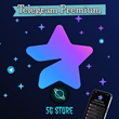 ⭐️ Telegram Premium 💎 Subscription 1/3 months 🚀 Fast
