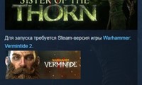 Warhammer: Vermintide 2 - Sister of the Thorn STEAM РФ