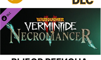✅Warhammer: Vermintide 2 - Necromancer Career🌐Steam🌐