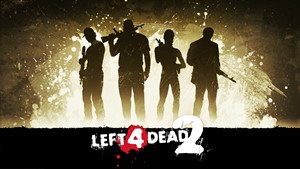 Left 4 Dead 2 Steam + Почта + Смена данных