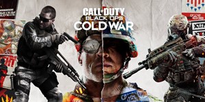 Call of Duty: Black Ops Cold War  АРЕНДА АККАУНТА (PC)