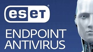 ESET Endpoint Antivirus Server File Security 1-10P 2025
