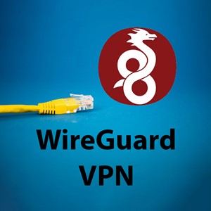 WireGuard VPN Нидерланды 1 месяц