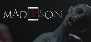 ⚡️MADiSON | АВТОДОСТАВКА [Россия Steam Gift]