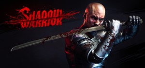 ⚡️Shadow Warrior | АВТОДОСТАВКА [Россия Steam Gift]