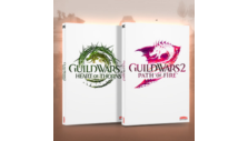 GUILD WARS 2: PATH OF FIRE+HEART OF THORNS✅GLOBAL KEY