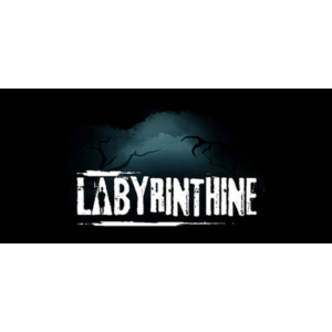 Обложка Labyrinthine (Steam Gift Россия) 🔥