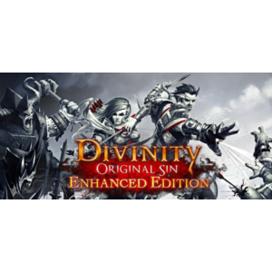 Обложка Divinity: Original Sin Enhanced Edition - CE Steam RU