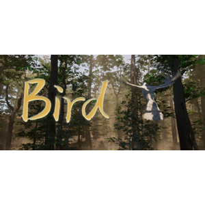 Обложка Bird (Steam Gift Россия) 🔥
