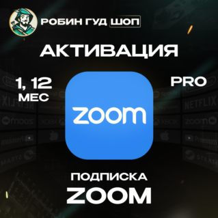 ZOOM PRO ПОДПИСКА (GLOBAL)