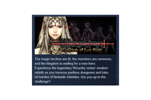 Wizardry: Labyrinth of Lost Souls АВТОДОСТАВКА STEAM GLOBAL МГНОВЕННО ЛИЦЕНЗИЯ