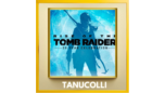Скриншот Rise of the Tomb Raider 20 Year (PS4/RU) П1 ОФФЛАЙН