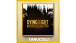 Скриншот ☀️ Dying Light Definitive (PS/PS4/PS5/RU) Аренда 7 сут