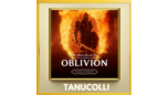 Скриншот The Elder Scrolls IV Oblivion Remaster (PS5/EN) Аренда