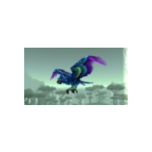 Pet Hyacinth Macaw (Parrot Cage)