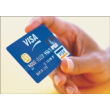 10-100 USD Visa Virtual, Balance Sheet