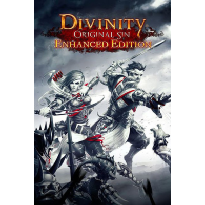 Divinity Original Sin Enhanced Collector´s Edition ГИФТ