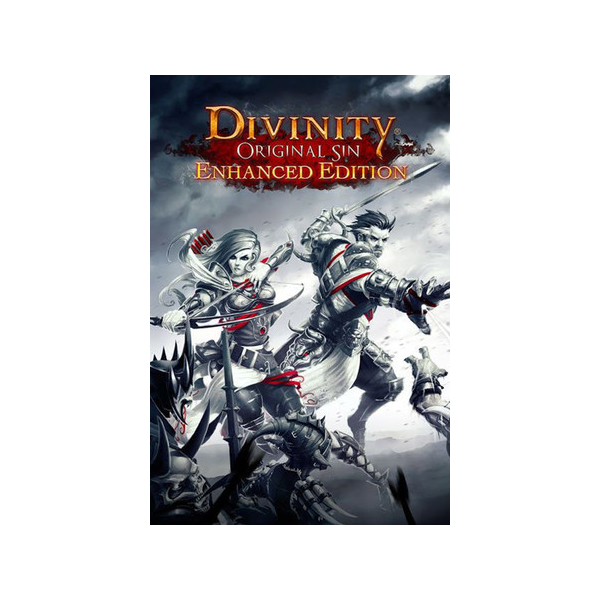 Divinity Original Sin Enhanced Collector´s Edition ГИФТ