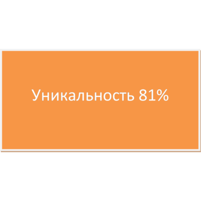 Диплом Проект торгового формата дискаунтер 81% уникальн