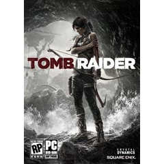 TOMB RAIDER (Steam)(RU/ CIS)