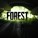 The Forest (RU/CIS activation; Steam gift)
