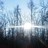 Фотография Закат в осеннем лесу