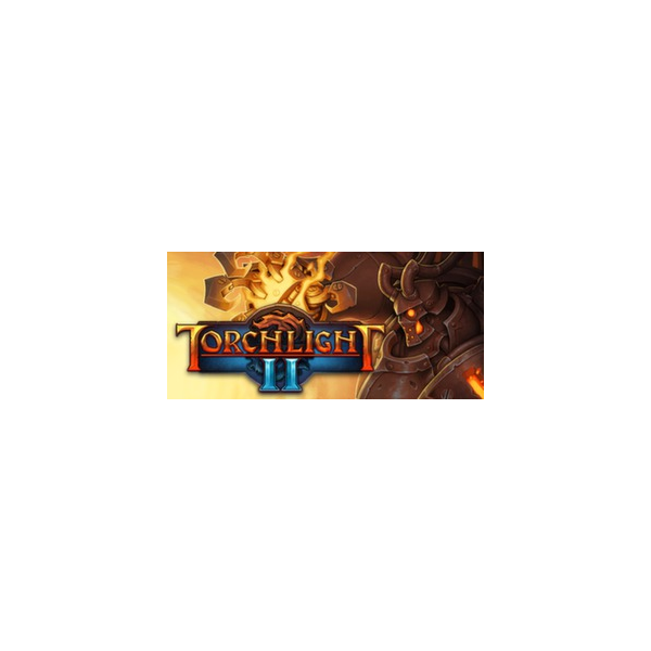 Torchlight 2 — steam ACCOUNT / Region Free game