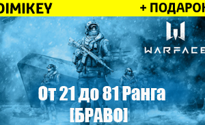 Купить аккаунт Warface [21-81] ранг + почта [БРАВО] ОПЛАТА КАРТОЙ на SteamNinja.ru