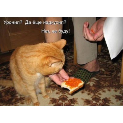 Контрольная Инженерно-технические средства охраны