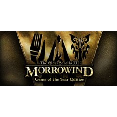 The Elder Scrolls III: Morrowind GOTY 🔑STEAM ✔️РФ +МИР