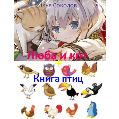 Люба и кот + Книга птиц