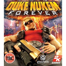 Duke Nukem Forever (key Steam)CIS