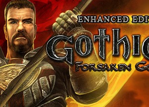 Обложка Gothic 3: Forsaken Gods Enhanced Edition (STEAM KEY)