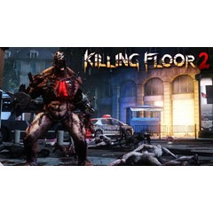 Killing Floor 2 (RU/CIS activation; Steam gift)