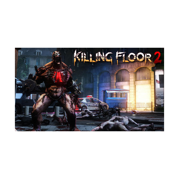 Killing Floor 2 (RU/CIS activation; Steam gift)