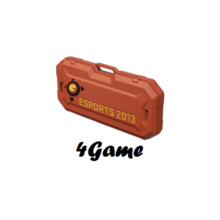 ESports Case 2013 (Random Weapon) + bonuses