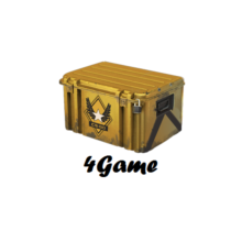 Gun Case «Winter Offensive» (Random Weapon) + bonuses