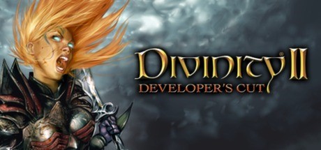 Скриншот Divinity II: Developer's Cut (STEAM GIFT / RU/CIS)