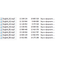 English language course. The textbook and audio CD