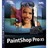 PaintShop Pro X5 профессиональный фоторедактор